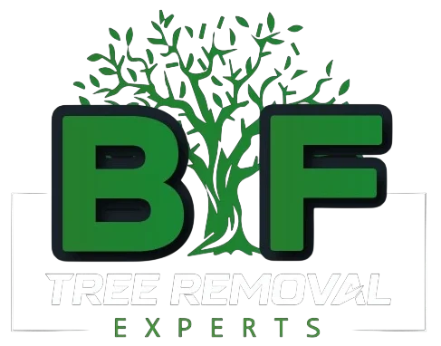 tree-removal-connecticut-logo