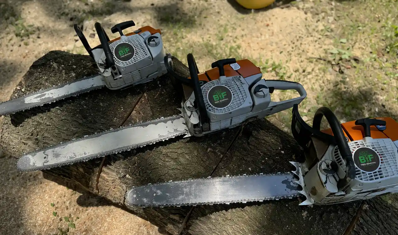 bf-tree-removal-team