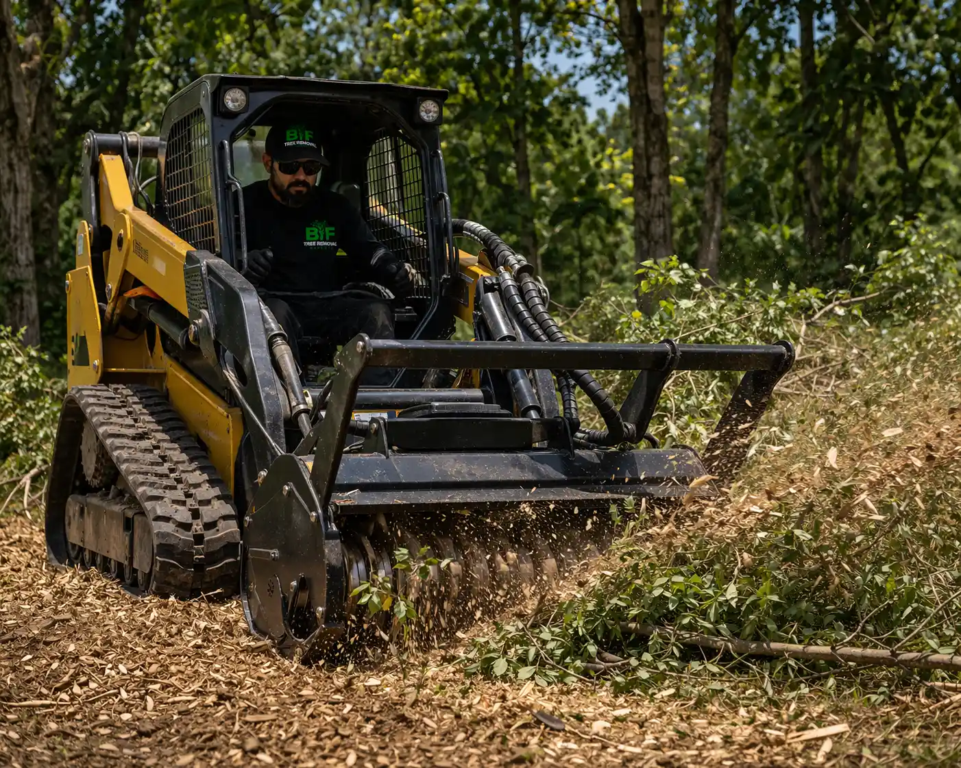 Our Land Clearing Work in Connecticut