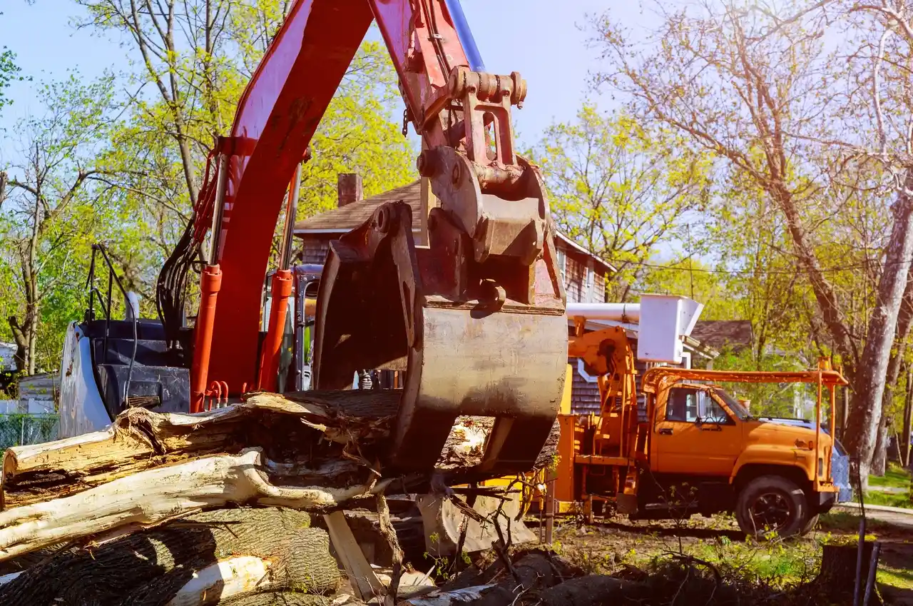 Do You Need a Permit to Remove a Tree in Connecticut?