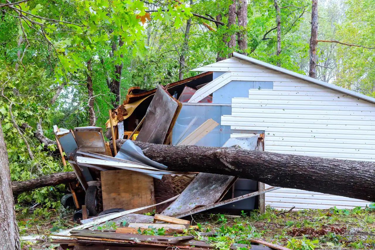 Storm Damage: What To Do First
